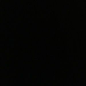 Meet your Posher, Timothy